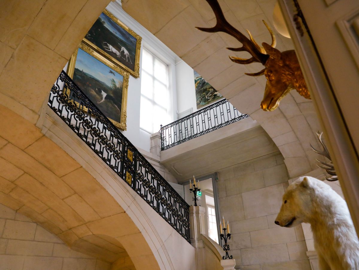 Assemblée générale CSDEM Hôtel de Guénégaud